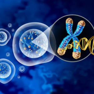 MyGenome