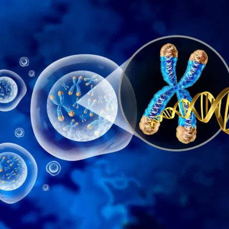 MyGenome